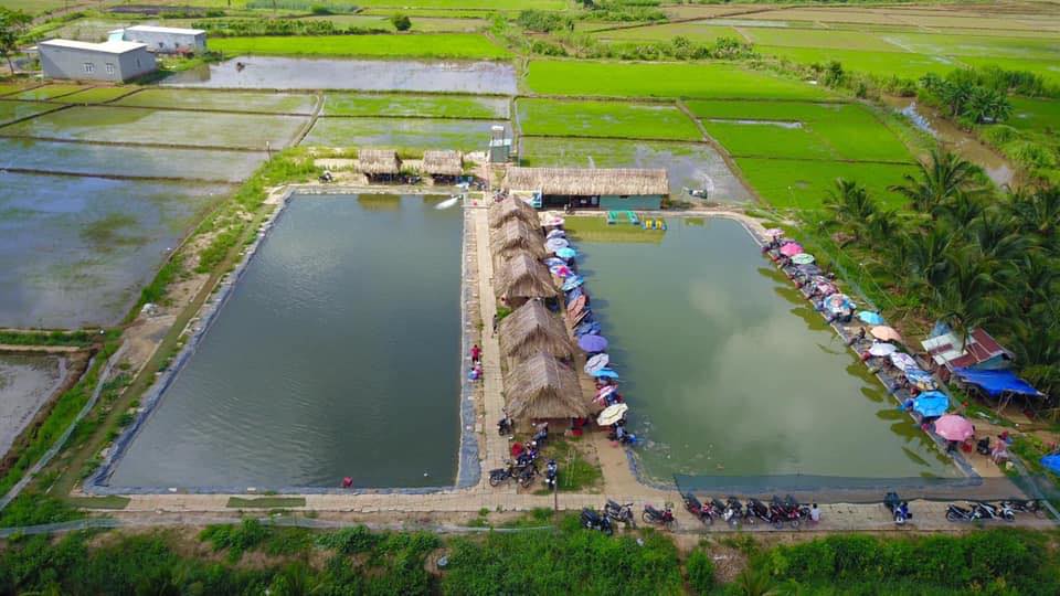Hồ câu cá Ngọc Linh quận Bình Thạnh