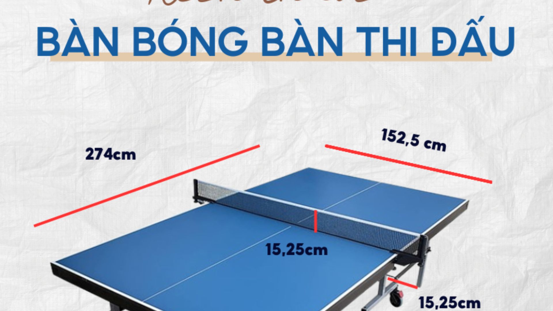 Kích thước bàn bóng bàn: 4 Loại kích thước phổ  biến 