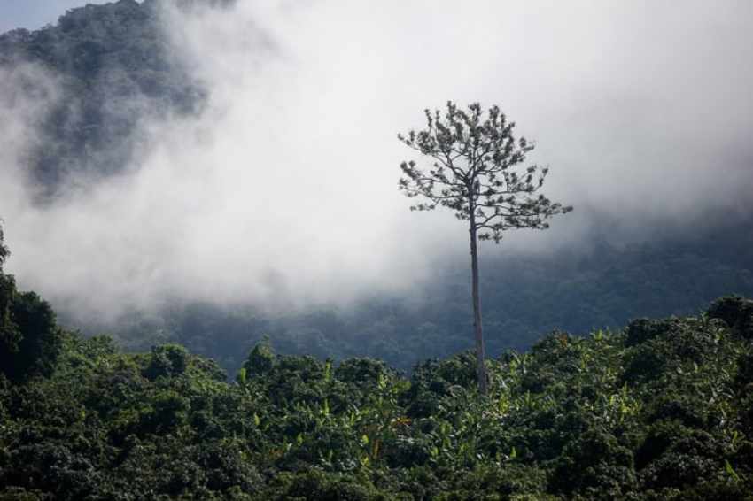 Ẩm thực dân dã của Tây Ninh