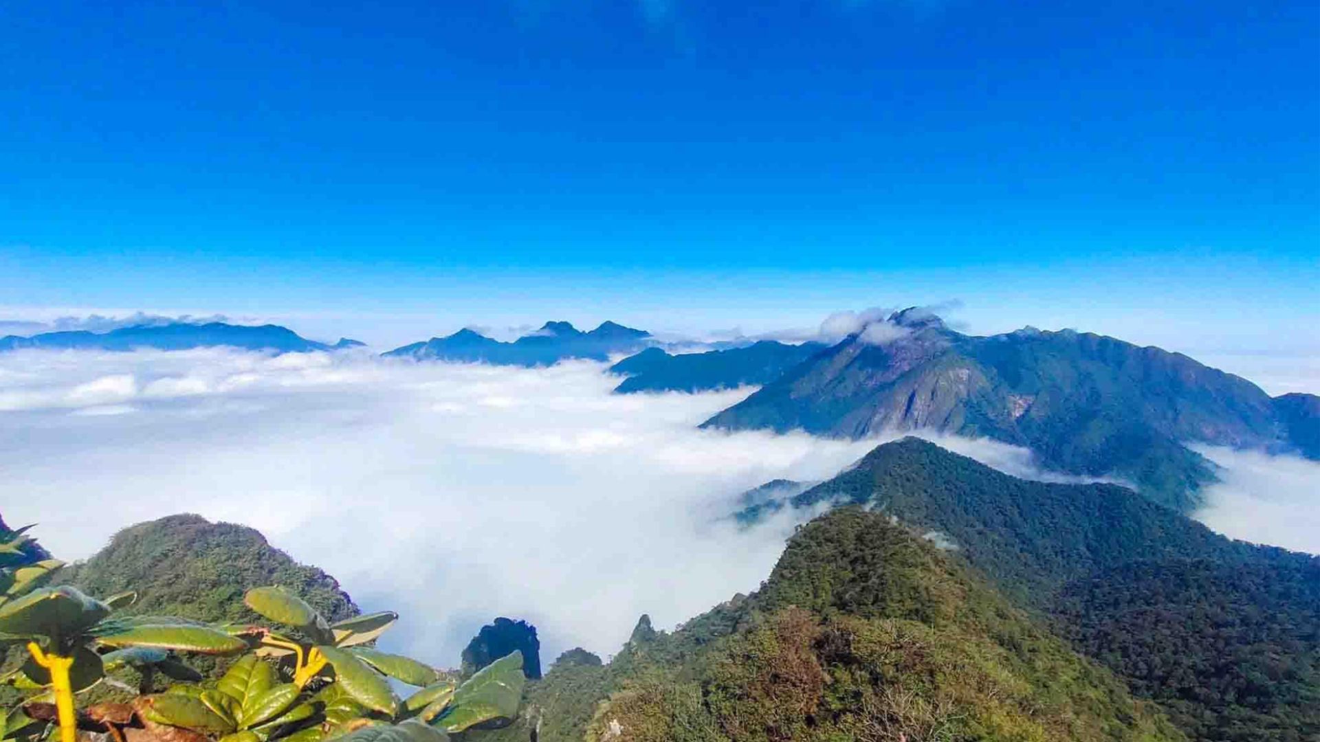 Chinh phục đỉnh Tả Liên Sơn: Giải leo núi tỉnh Lai Châu mở rộng lần thứ I năm 2024