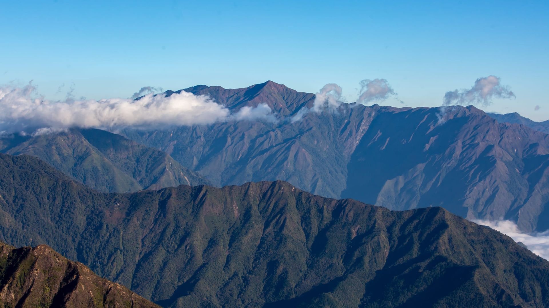 Leo núi Tà Xùa có gì? Review kinh nghiệm trekking chân thực nhất